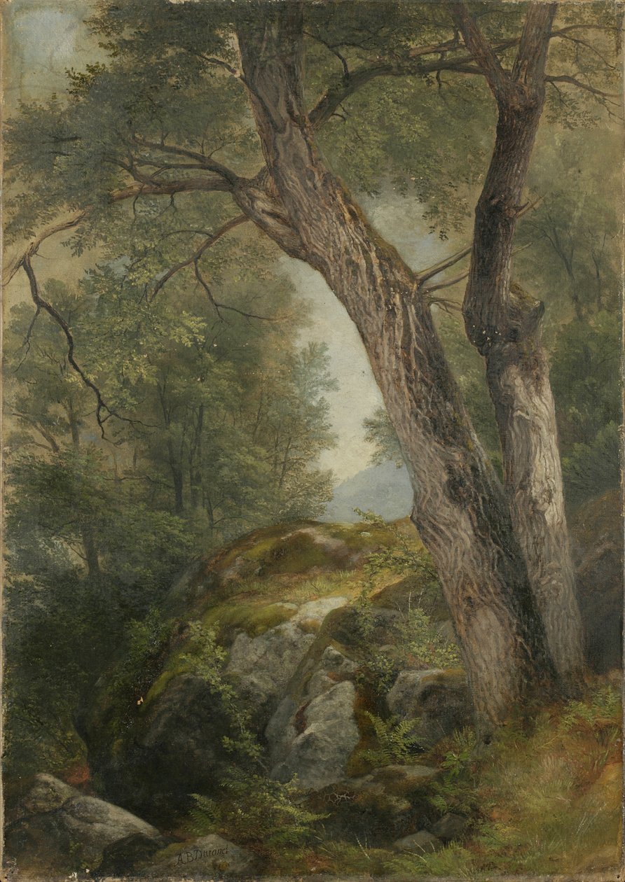 Butternut Tree i Haag, Lake George, NY, 1862 av Asher Brown Durand