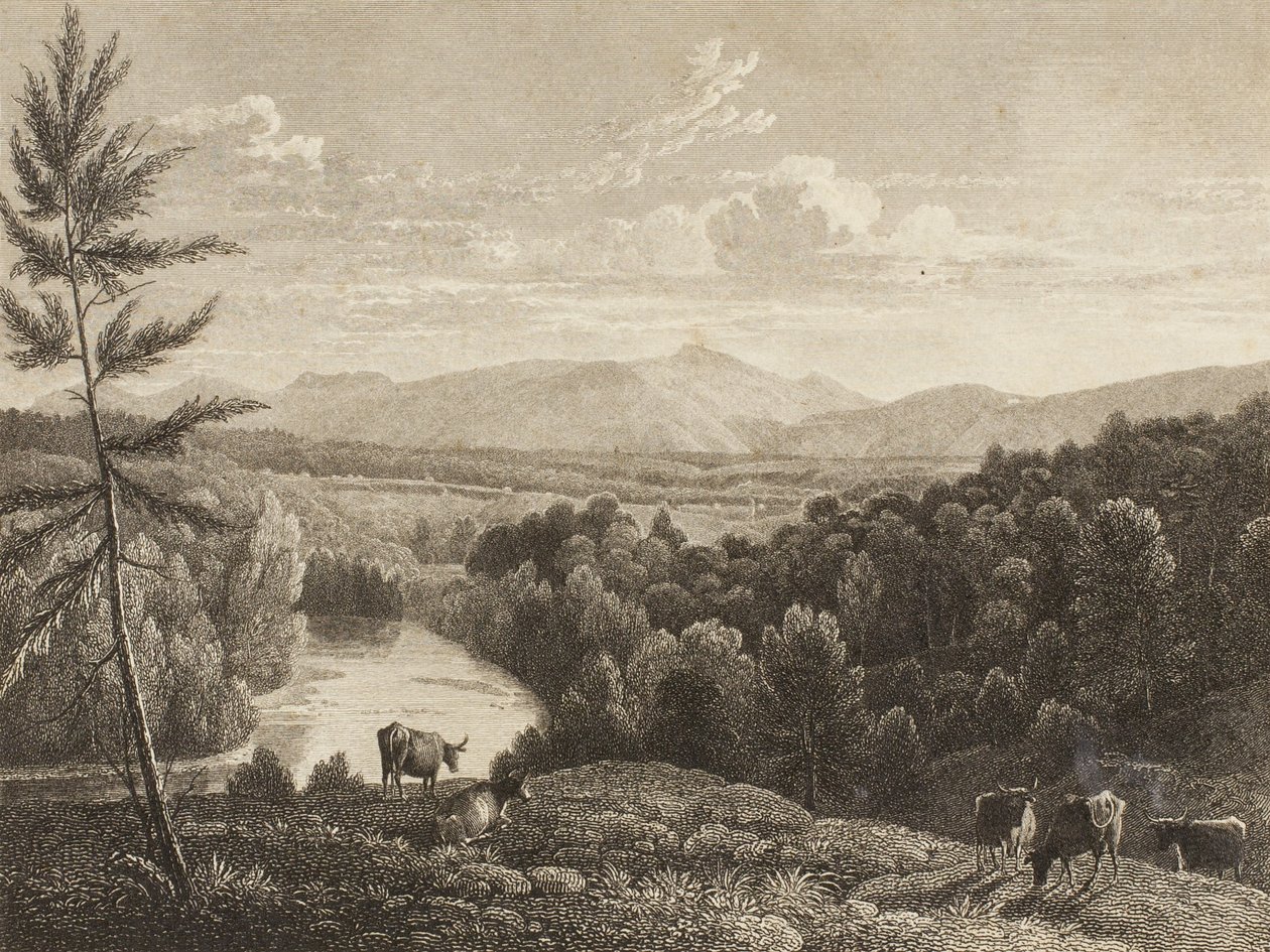 Catskill-fjellene av Asher Brown Durand