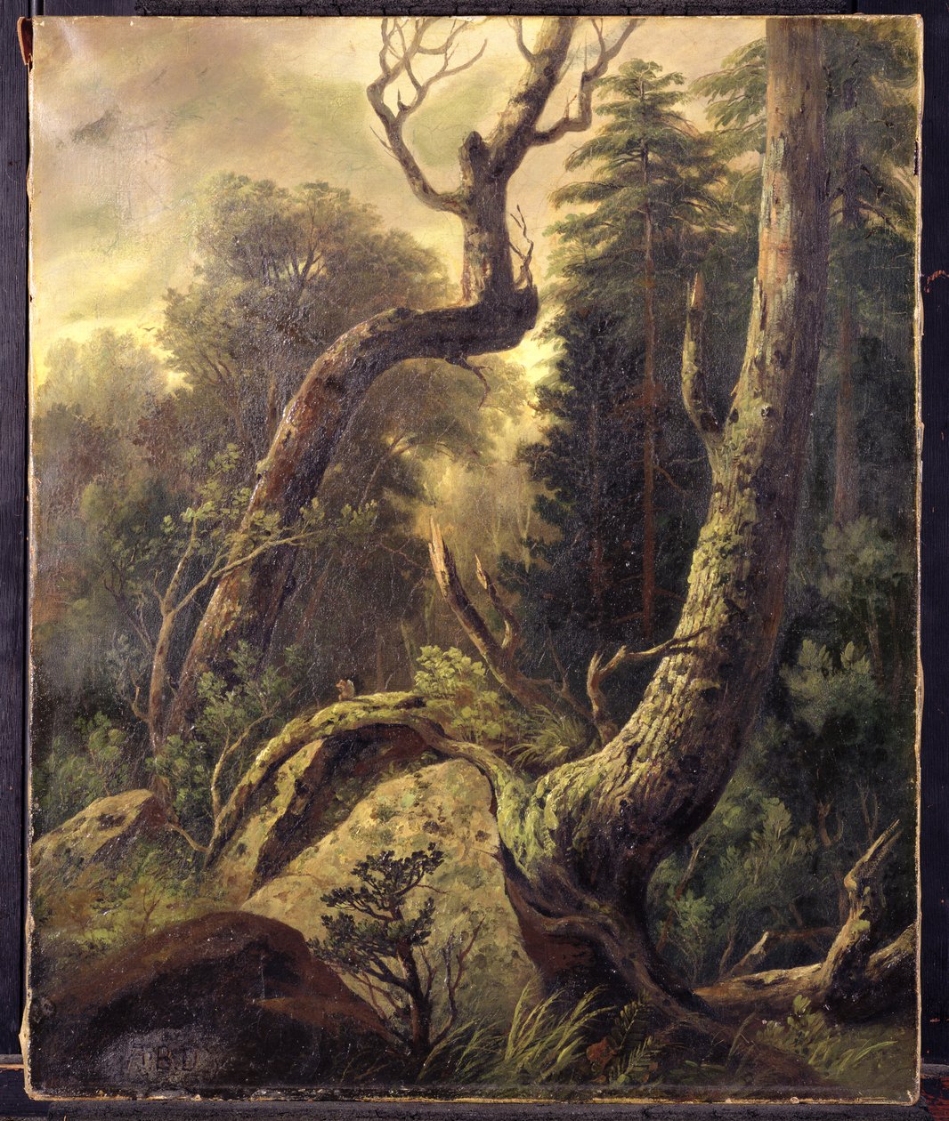Skoglandskap av Asher Brown Durand