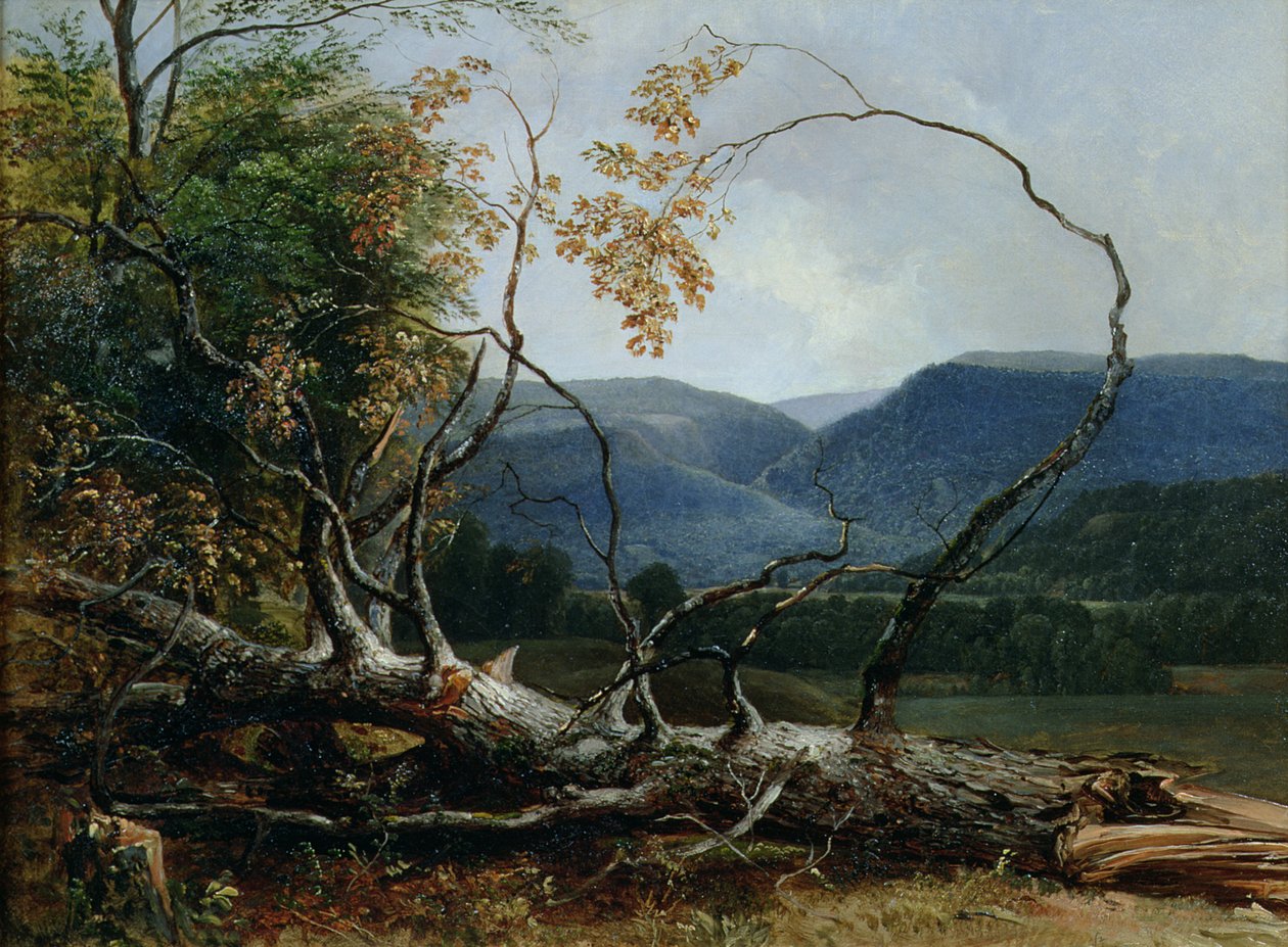 Stratton Notch, Vermont av Asher Brown Durand