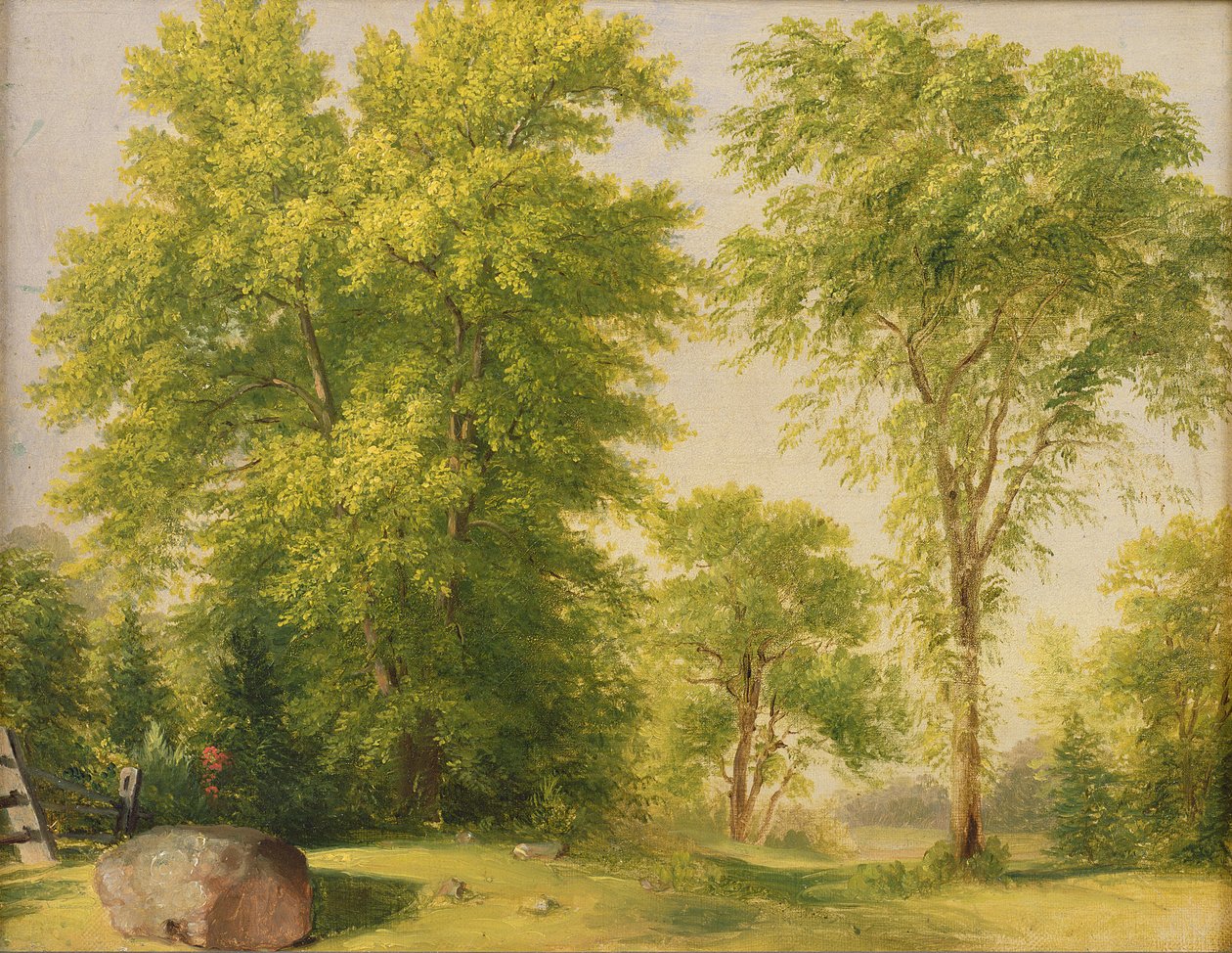 Studie fra Nature, Hoboken, New Jersey, ca. 1834 av Asher Brown Durand