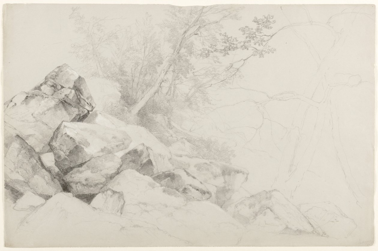 Study of Rocks with Trees, Haag, Lake George, New York, 1862 (grafitt på grått papir) av Asher Brown Durand