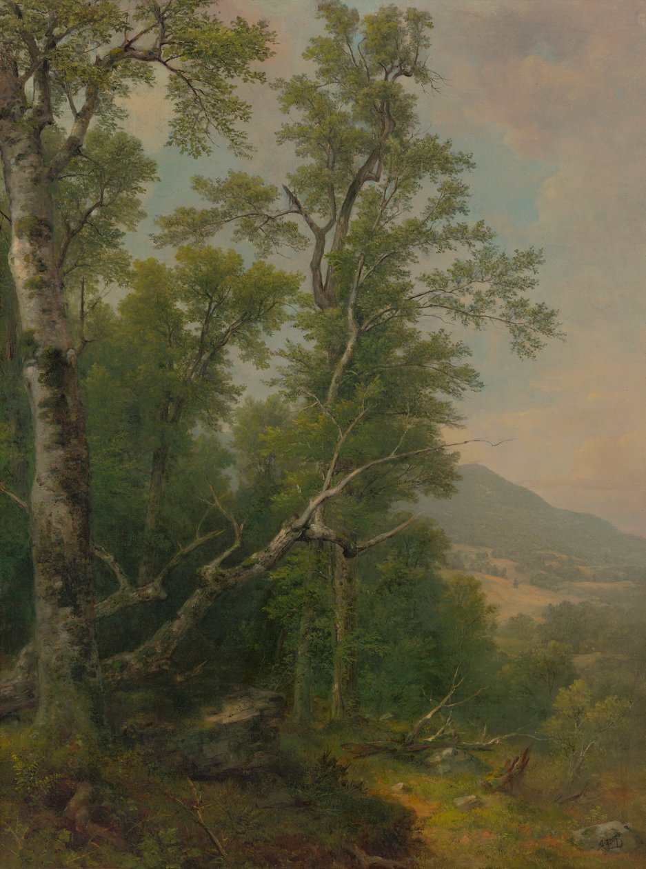 Studie av trær av Asher Brown Durand