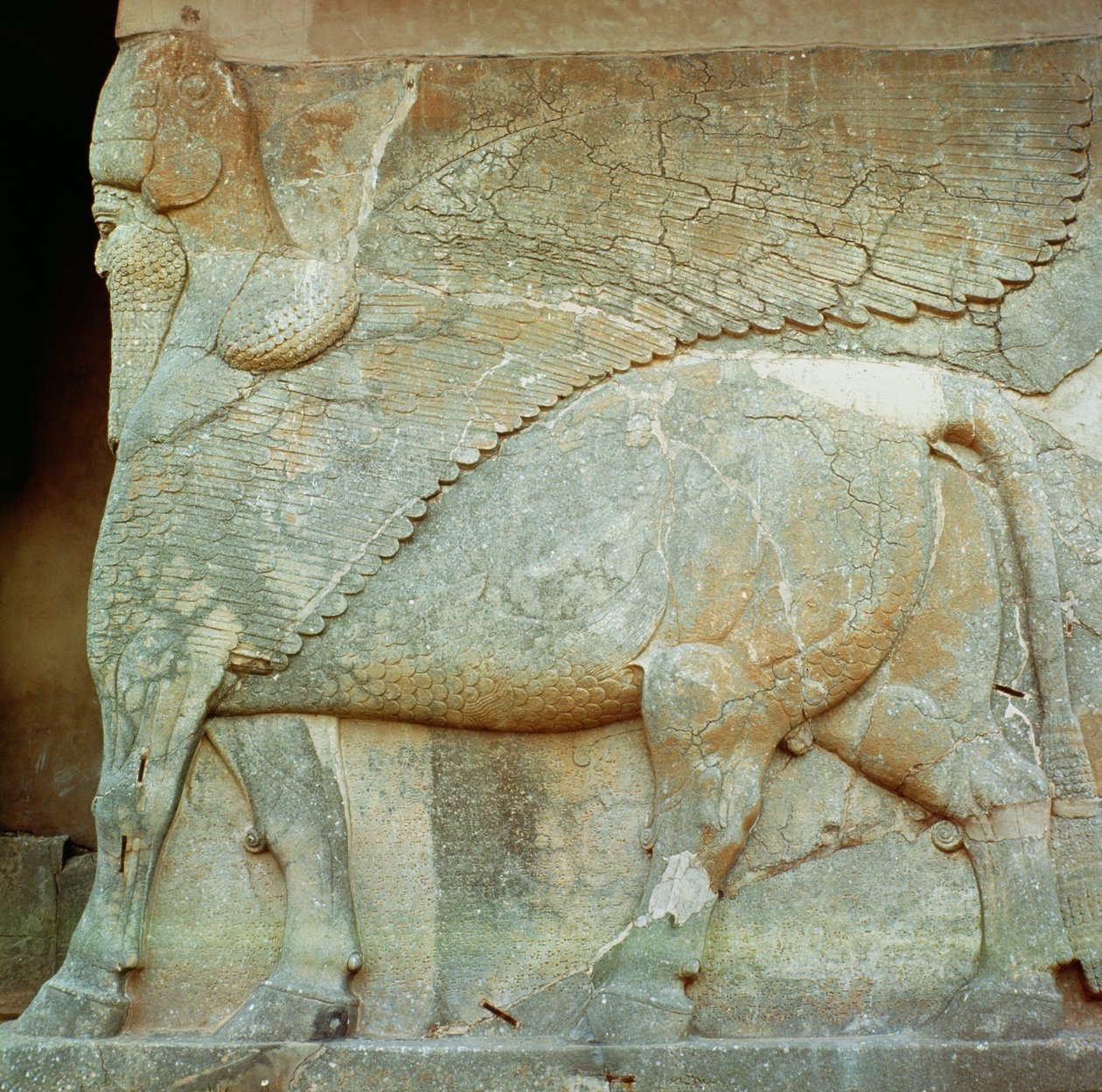 Basrelieff av en antropomorf okse av Assyrian