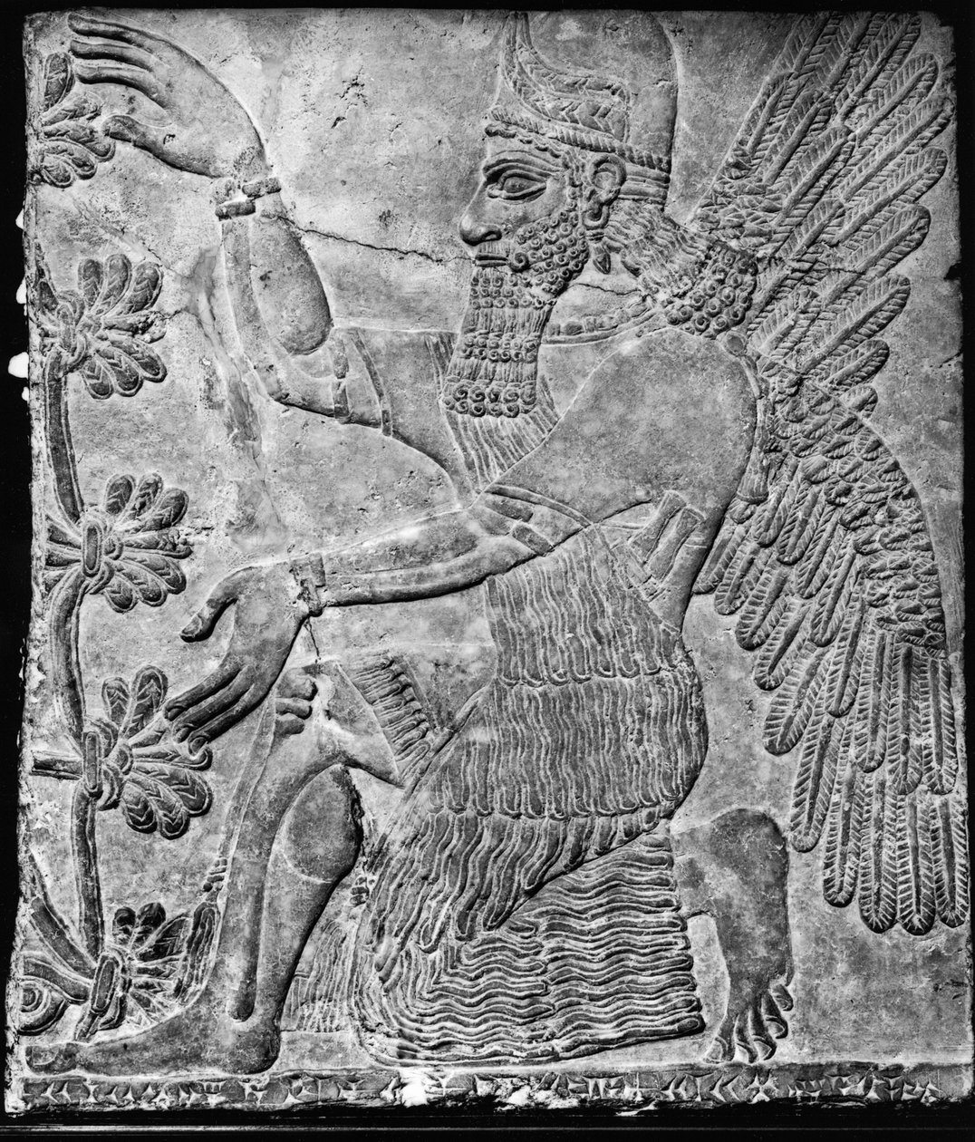 Winged Genie som tilber det hellige treet, fra palasset på Nimrud av Assyrian