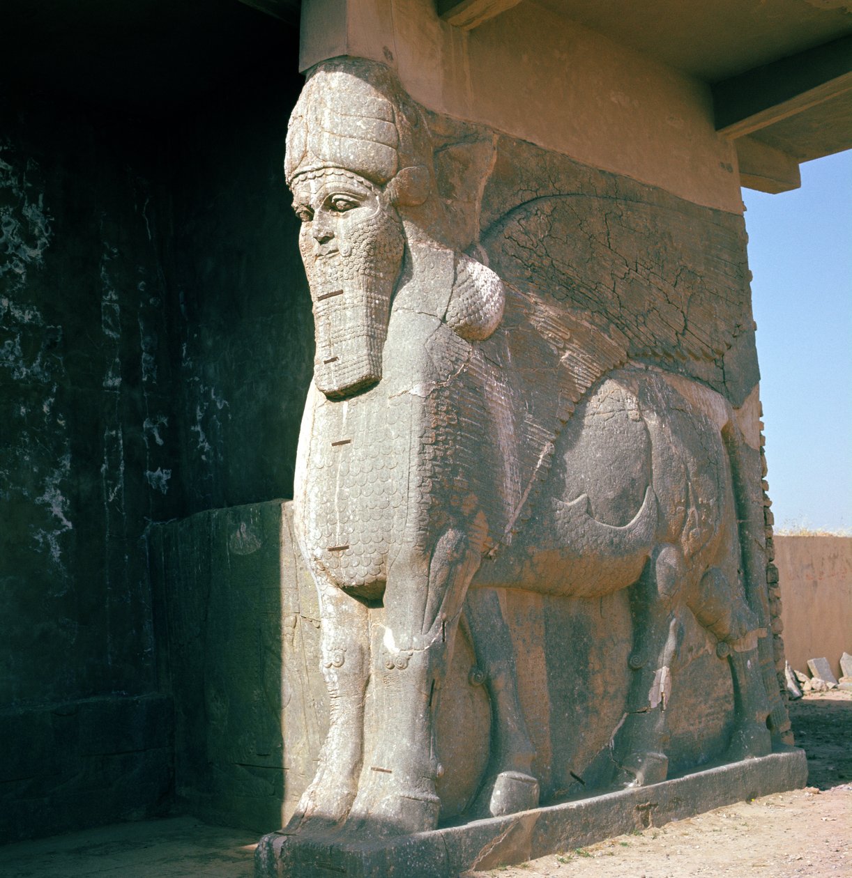 Bevinget okse med menneskehode, ny-assyrisk periode, regjering av Ashurnasirpal II (alabaster) av Assyrian