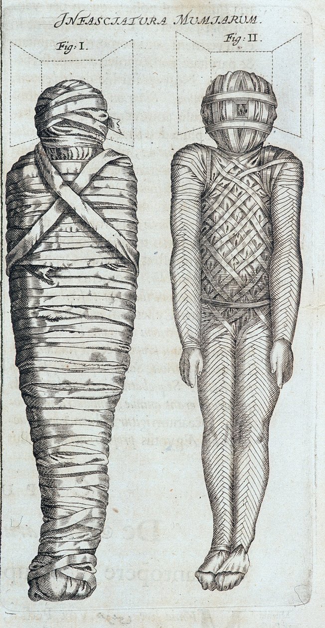 Mumier - i "" Sphynx mystagoga"" av Athanase Kircher av Athanasius Kircher