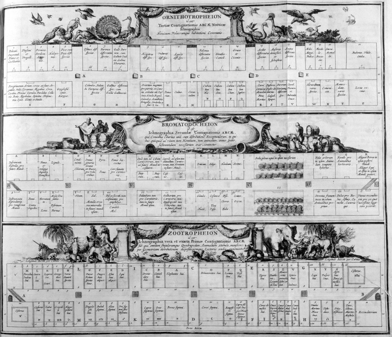 Tabell over arten, 1765. av Athanasius Kircher