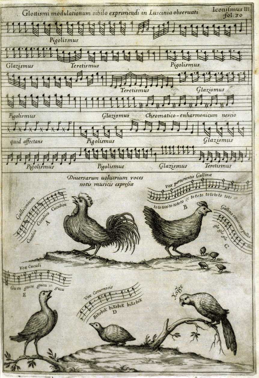 Sangen utgitt av visse flyktige stoffer uttrykt av musikalske noter etter: "Musurgia Universalis" av Athanasius Kircher av Athanasius Kircher