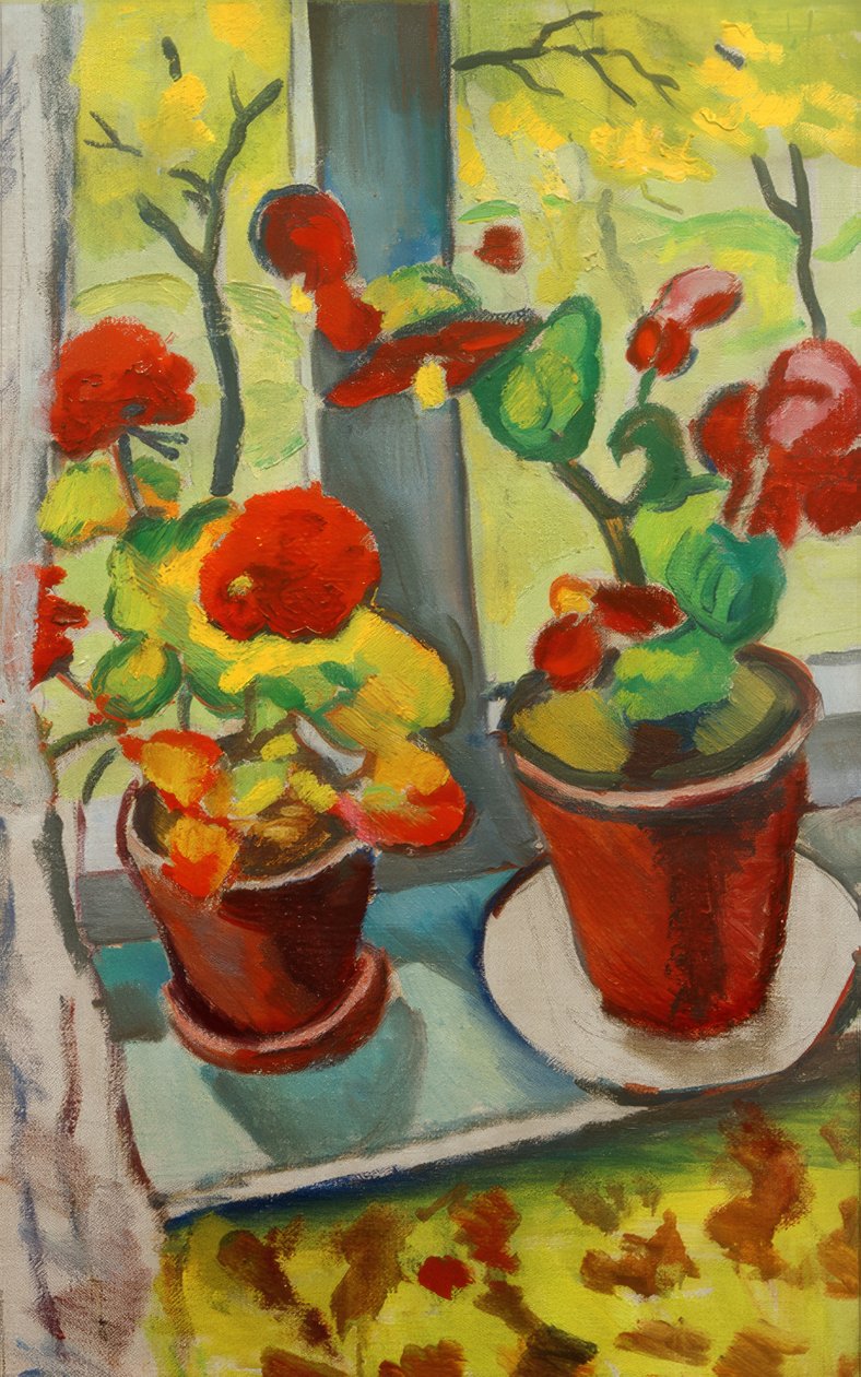 Blomster ved vinduet (begonia i potter I) av August Macke