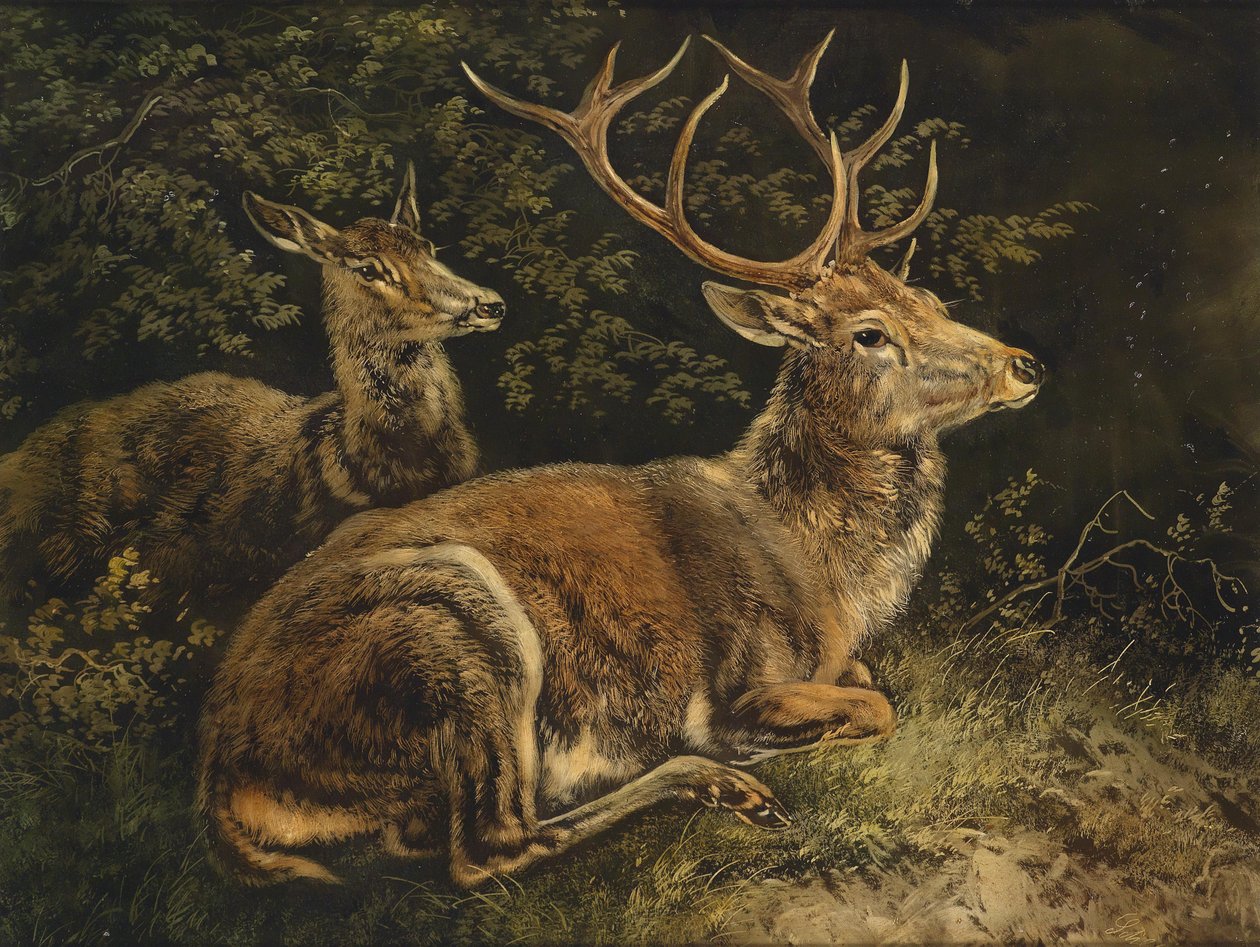 Hjort av August Schleich