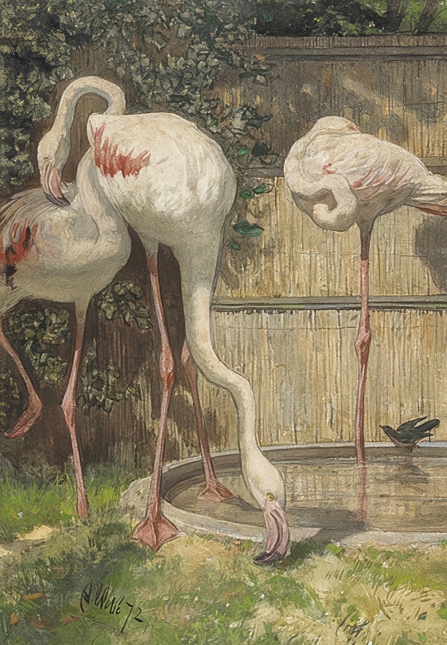 Tre flamingoer ved en vannbasseng. 1872 av August Allebe