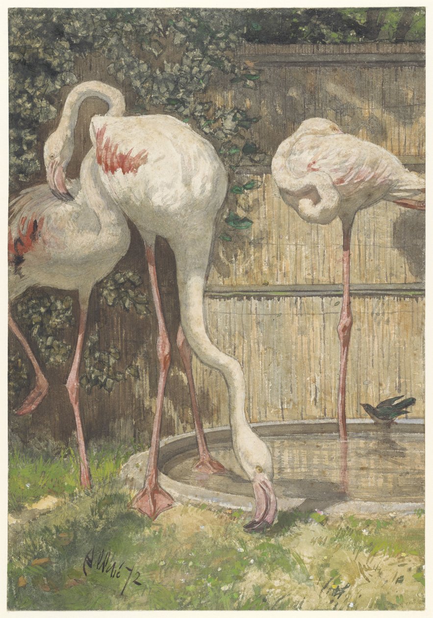Tre flamingoer nær et basseng av August Allebe