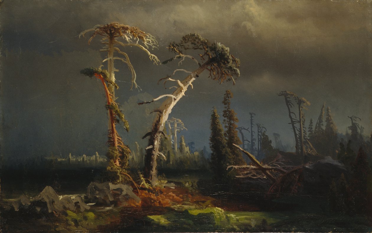Opptrekkende uvær - utdøende urskog i uvær (oil on canvas) av August Cappelen