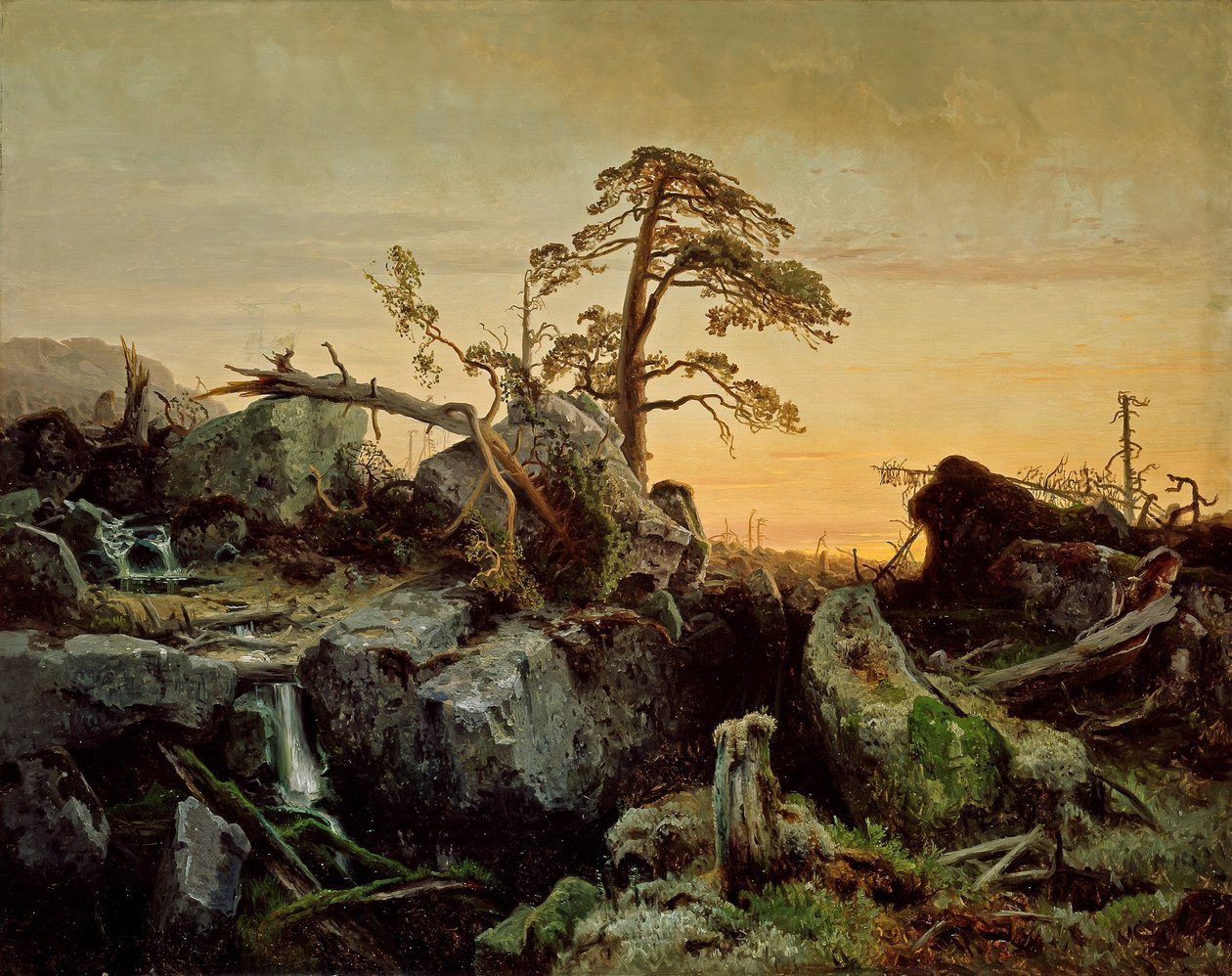  av August Cappelen