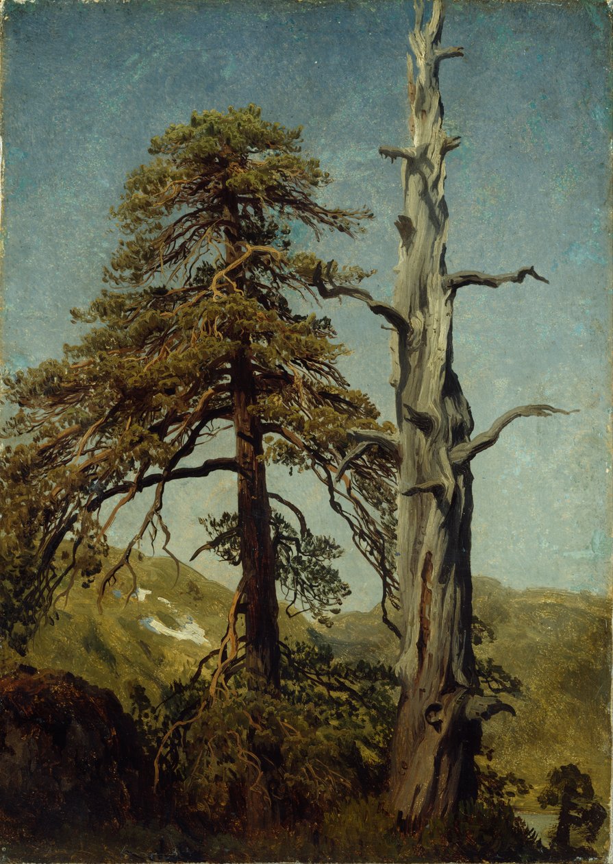  av August Cappelen