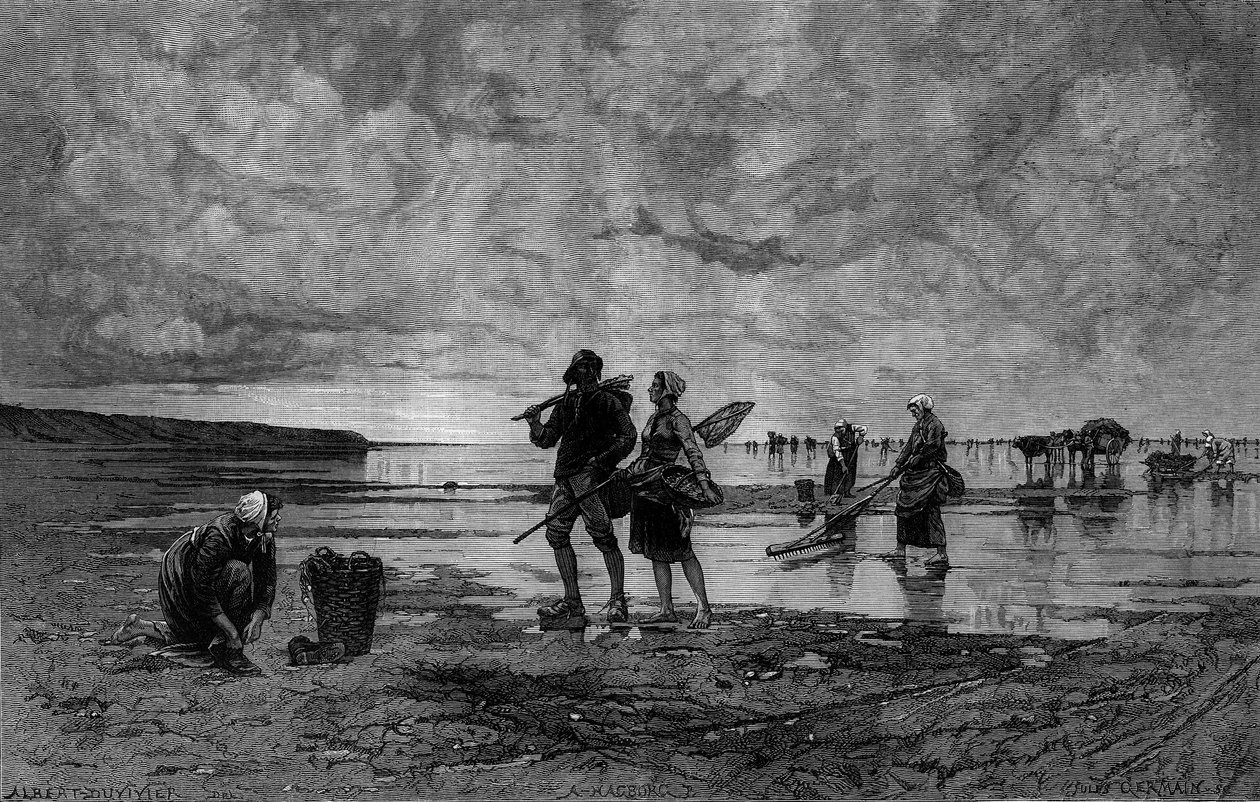 Great maree in the Channel (19th century): fishermen of shells on a beach. Engraving after the painting by Hagborg Auguste Wilhem Nikolaus (1852-1921/1925) in “The Illustrous World” n°1219 of August 7 av August Wilhelm Nikolaus Hagborg