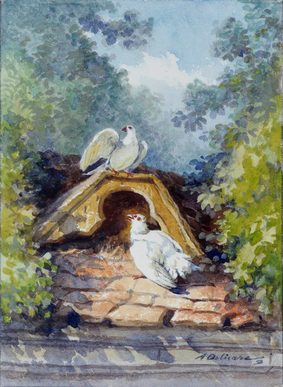 De to akvarellduene av Auguste Delierre (1829-1891) for fabelen av Jean de la Fontaine (1621-1695) 1800-tallet. Chateau Thierry. La Fontaine-museet av Auguste Delierre