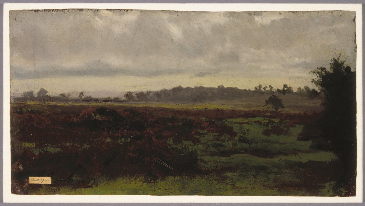 Marshlands, midten av 1850-tallet (olje på papir) av Auguste Francois Bonheur