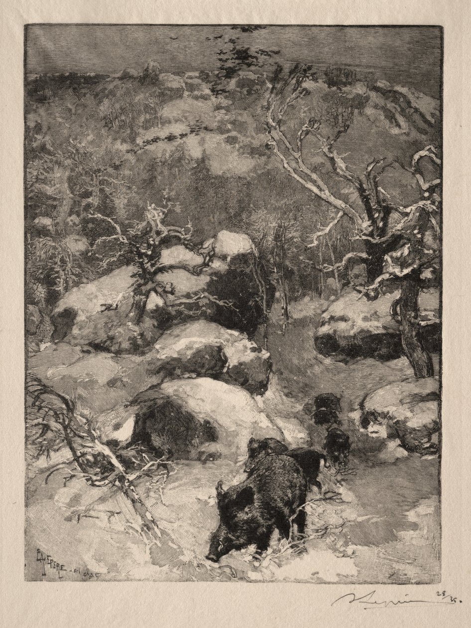 Roche Cuvier Chatillon av Auguste Louis Lepère