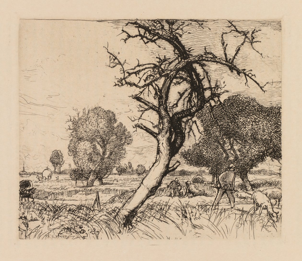 Auguste Lepère: Det døde epletreet (Picardie) av Auguste Louis Lepère