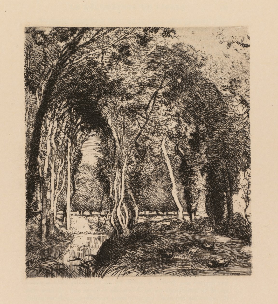 Auguste Lepère: Undervekst, ved Rigonette Vendèe. av Auguste Louis Lepère