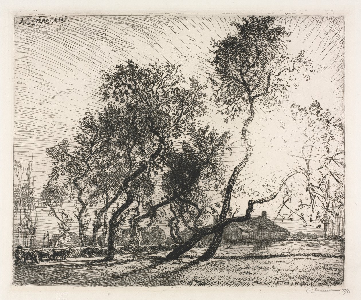 Farm with Poplar Trees of Holland, 1914. av Auguste Louis Lepère