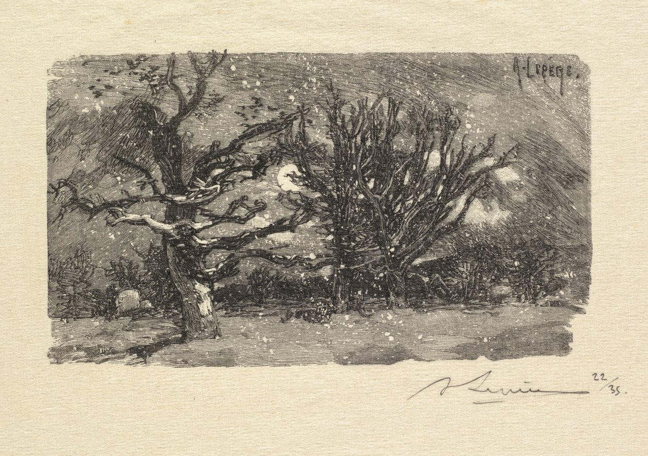 Fontainebleau-skogen: Au dormoir de Lantara (La Forêt de Fontainebleau: Au dormoir de Lantara) av Auguste Louis Lepère