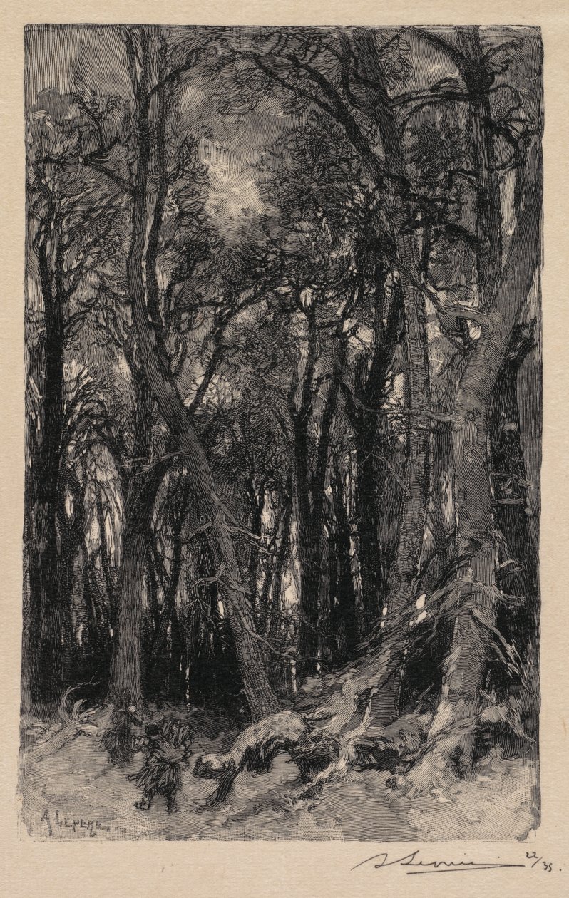 Fontainebleau-skogen: Bas-Bréau (Fontainebleau-skogen: Le Bas-Bréau) av Auguste Louis Lepère