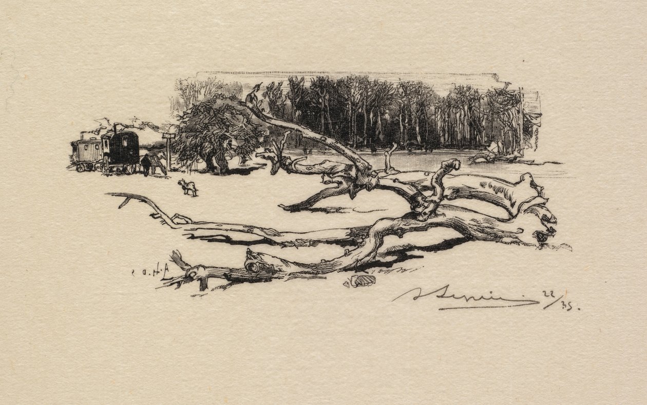 Fontainebleau-skogen: Carrefour de l