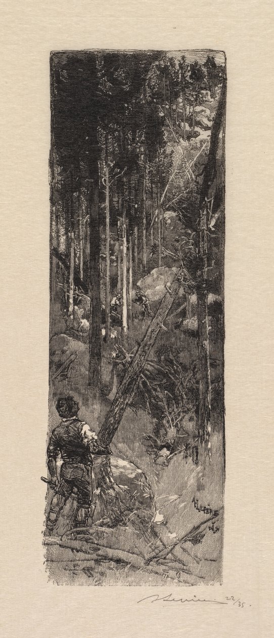 Fontainebleau-skogen: skjæring av furu La Forêt de Fontainebleau: Abattage des pines, 1890. av Auguste Louis Lepère