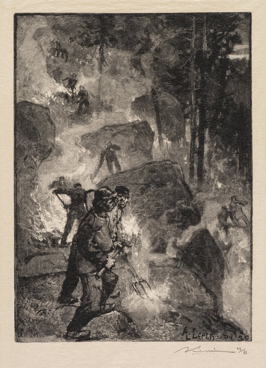 Fontainebleau Forest: Fern Burners The Forest of Fontainebleau: The Fern Burners, 1890. av Auguste Louis Lepère
