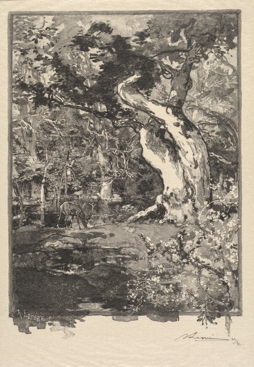 Fontainebleau-skogen: Le Clovis, Plateau de Bellecroix (Fontainebleau-skogen: Plateau de Belle-Çroix, le Clovis) av Auguste Louis Lepère
