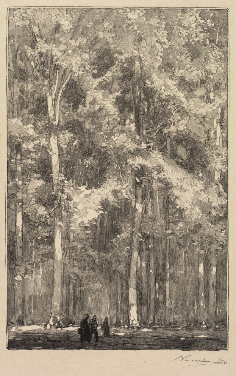Fontainebleau Forest: Morning, Crossroads of the Route of the Forts de Marlotte..., 1890. av Auguste Louis Lepère