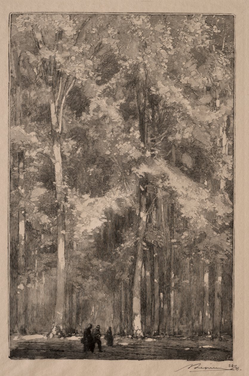 Le Matin, krysset mellom Forts Marlotte, 1889. av Auguste Louis Lepère