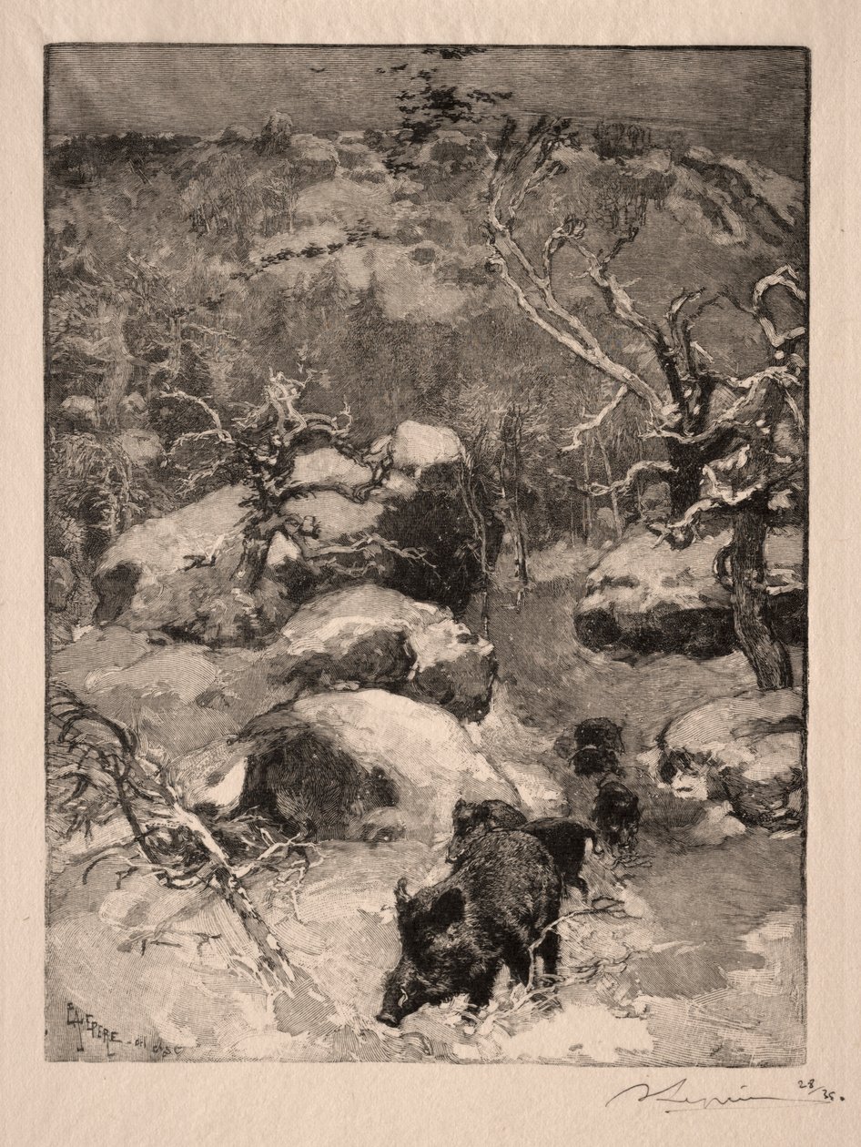 Roche Cuvier Chatillon, 1887. av Auguste Louis Lepère