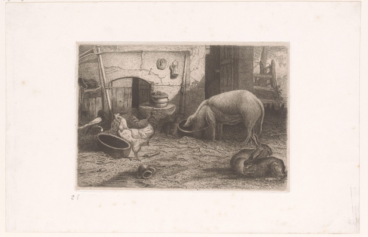 Gris, høner og kaniner på en låve av Auguste Numans (attributed to)