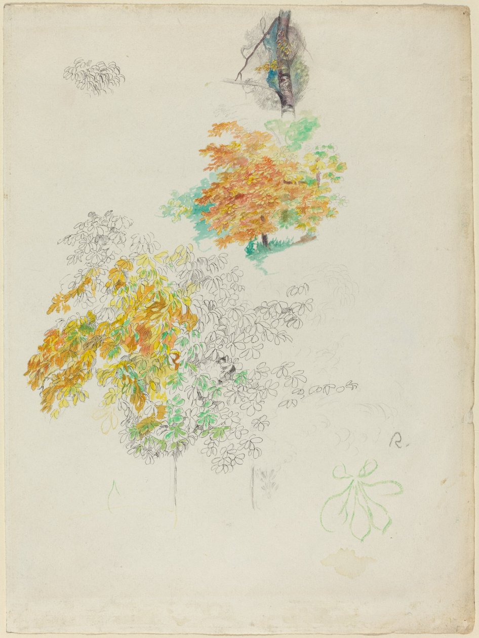 Studier av trær av Auguste Renoir