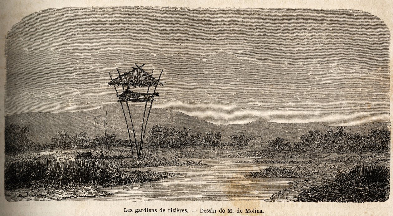 En risvakt, nær Batavia (dagens Jakarta). Tegning av M. de Molins, for å illustrere hans reise til Java av Auguste de Molins