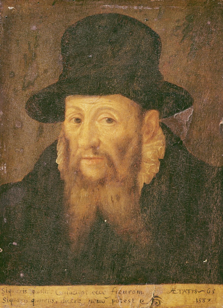 Jacques Cujas (1522–90) 65 år gammel av Augustin II Quesnel
