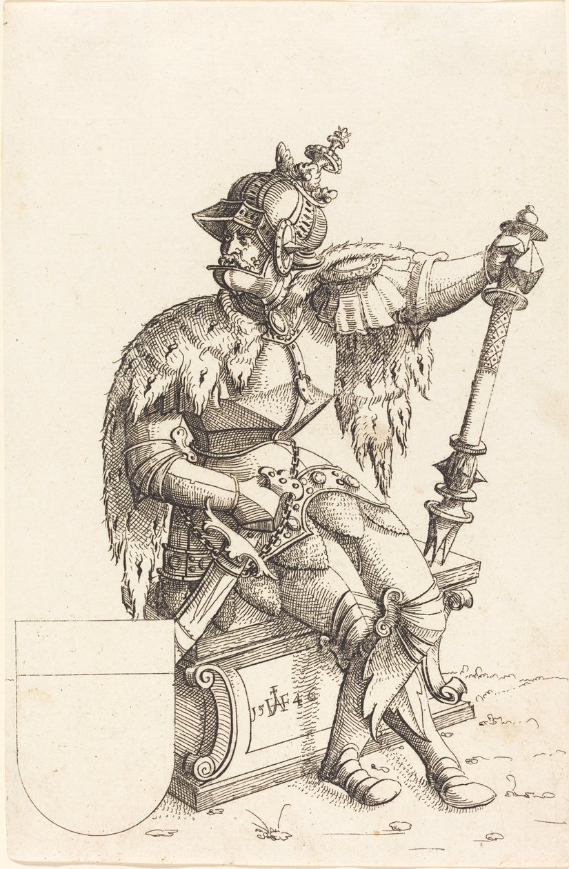 Keiser Charles V av Augustin Hirschvogel