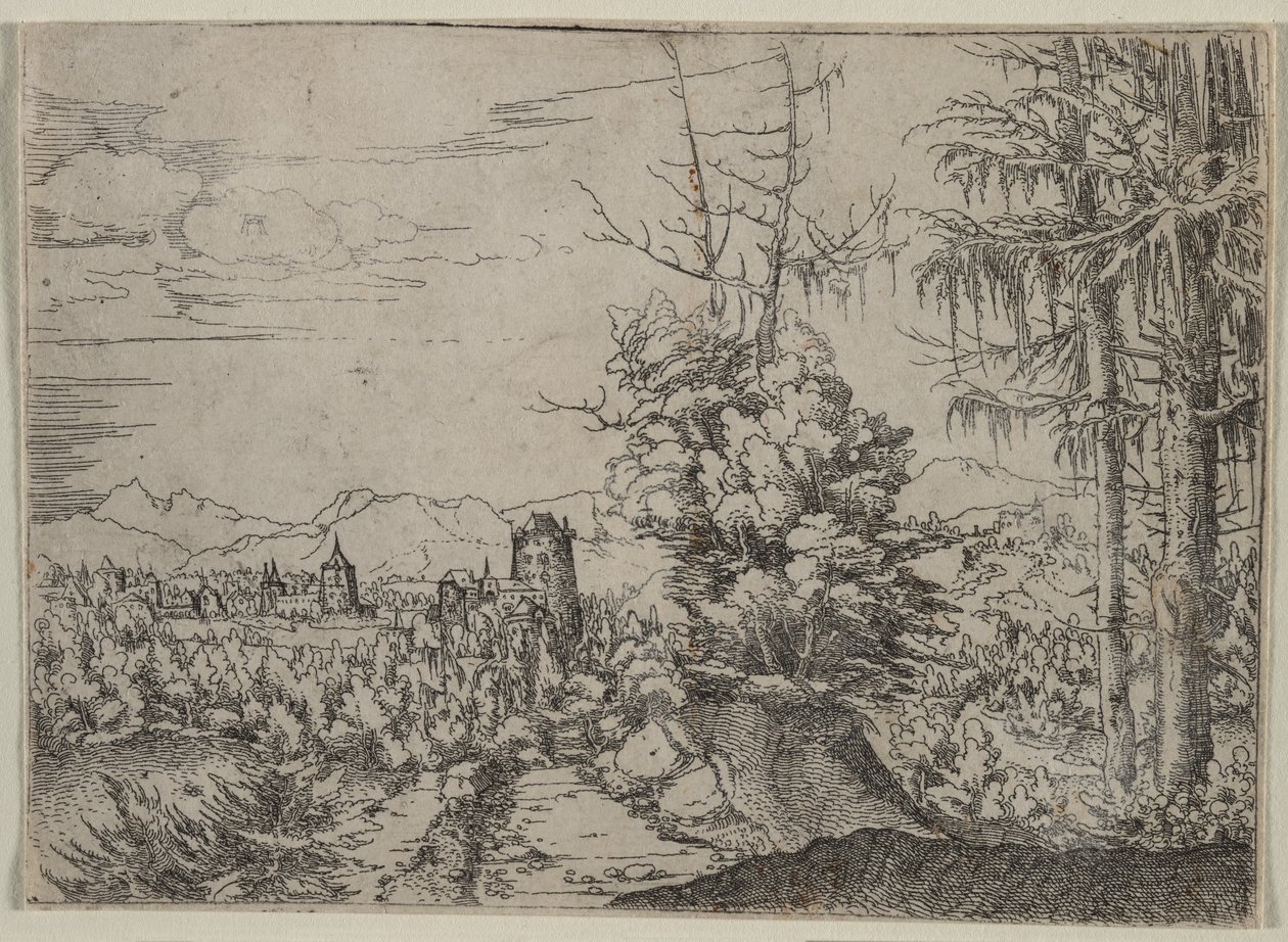  av Augustin Hirschvogel