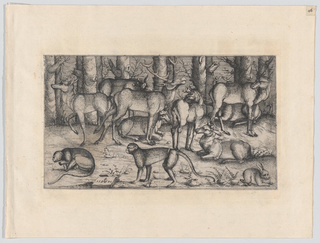 Hjorter i skogen, 1545. av Augustin Hirschvogel