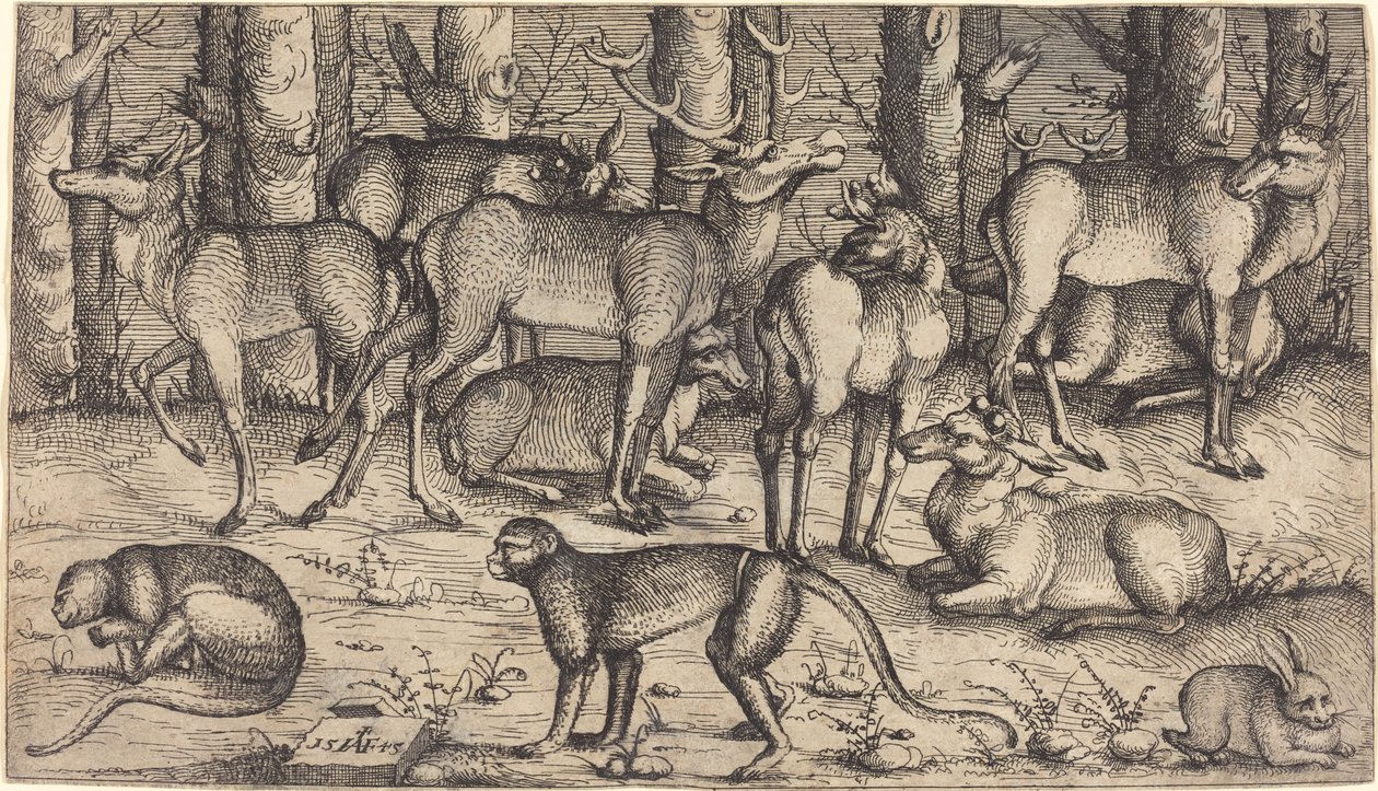 Hjorter i skogen, 1545. av Augustin Hirschvogel