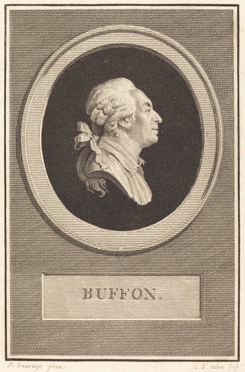 Buffon av Augustin de Saint Aubin after Piat Joseph Sauvage