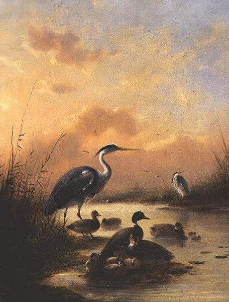 En familie av Mallard og to hegre (par 77887) av Augustus Knip