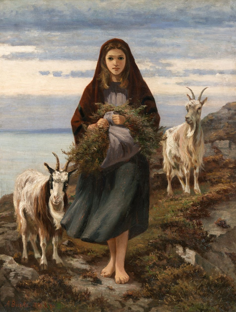 Connemara jente av Augustus Nicholas Burke