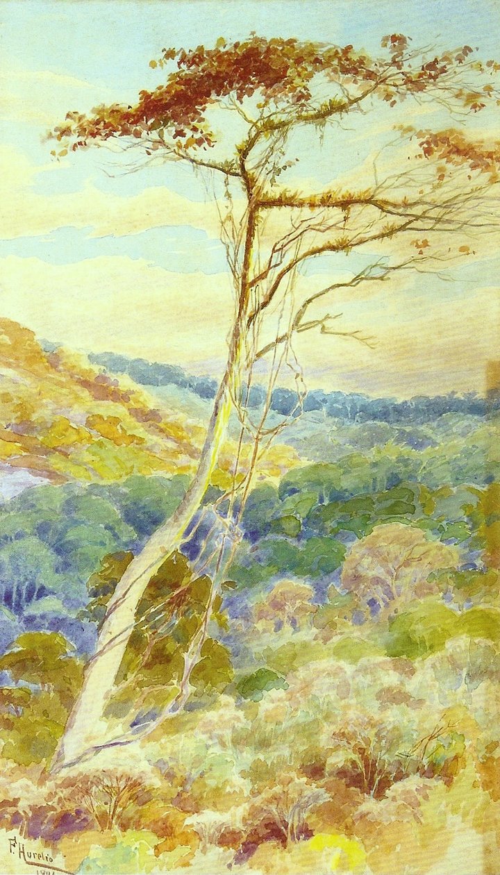 Landskap av Aurelio de Figueiredo