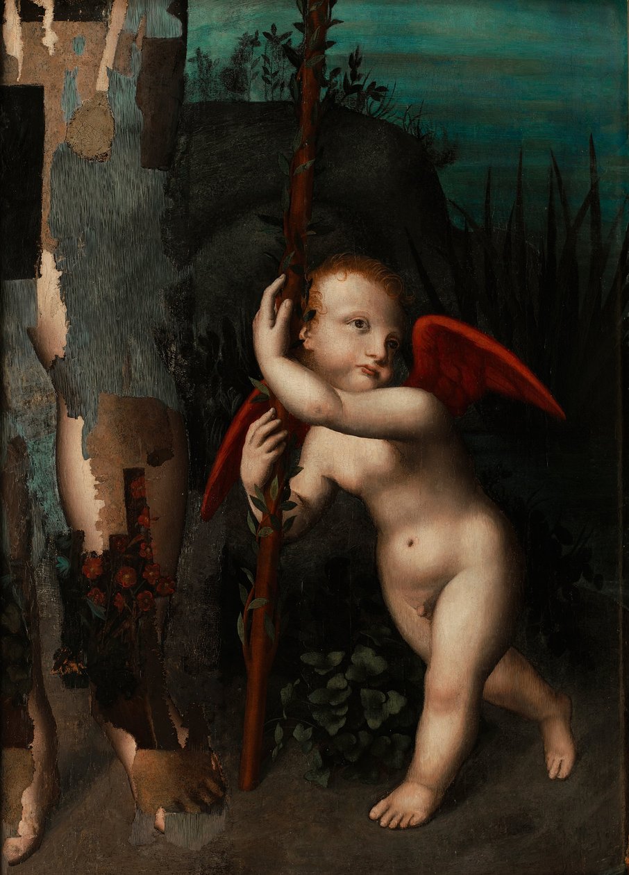 Amor med myrt, før 1593 av Aurelio Luini