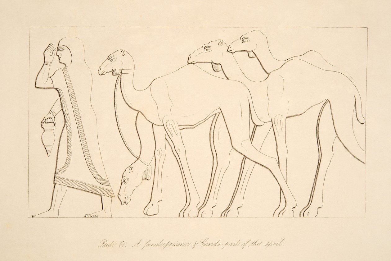 En kvinnelig fange og kamel, illustrasjon fra Monuments of Nineveh, 1849 av Austen Henry Layard